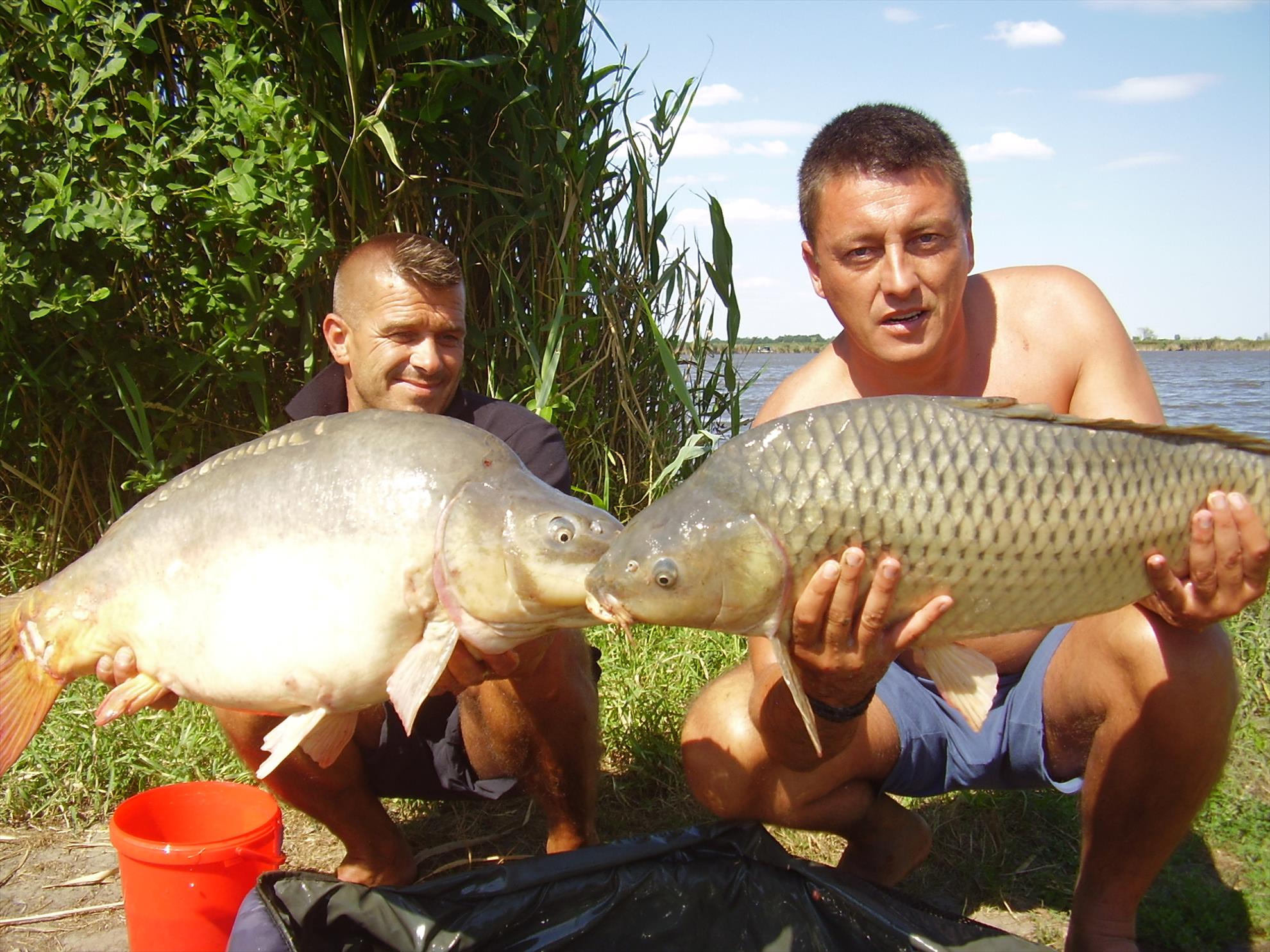 Alejandro Carp Team - Ohat Ungaria 2013 - p5060013.JPG